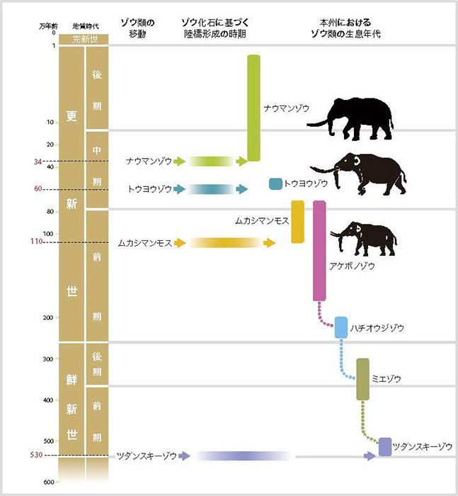 日本におけるゾウの変遷。