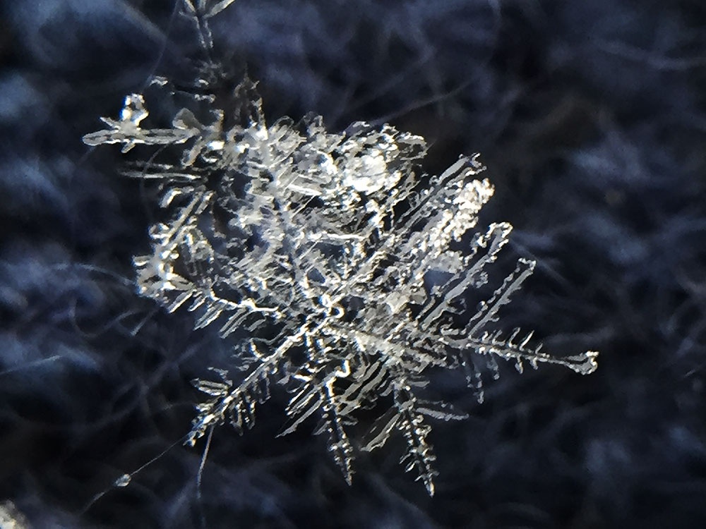 雪の結晶01