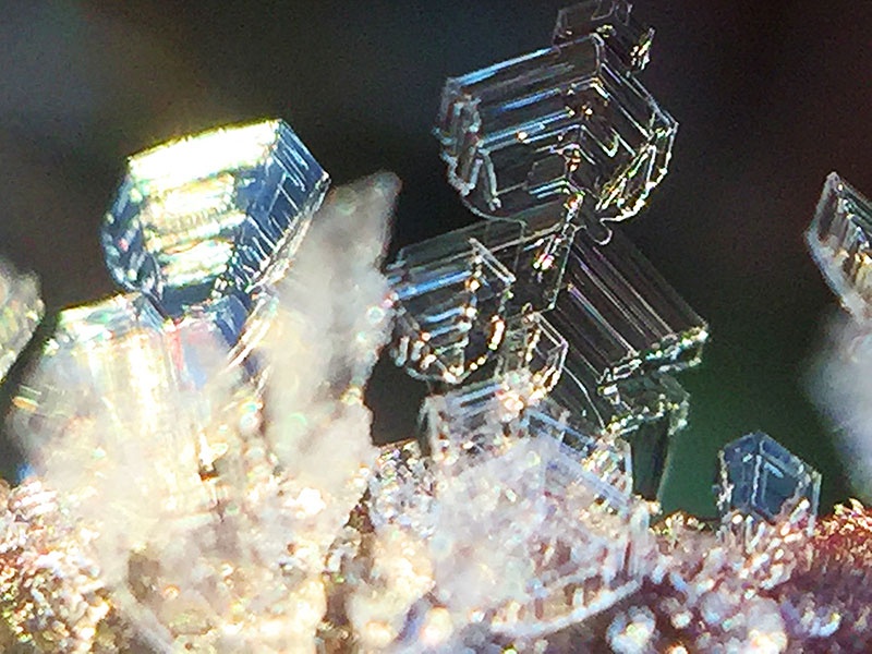 霜の結晶01