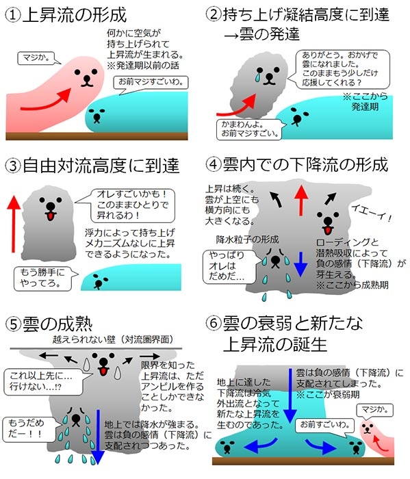 積乱雲の一生