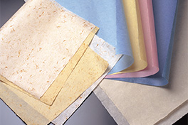 【群馬県】桐⽣（きりゅう）紙