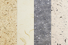 【高知県】和蘭（わらん）紙