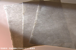 【宮城県】白石和紙