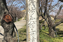 【埼玉県】さきたま古墳公園