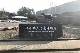 【福井県】福井県立恐竜博物館